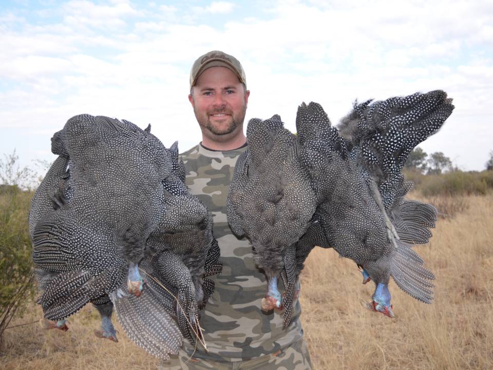 Guinea Fowl Hunting Outfitter in Africa.jpg